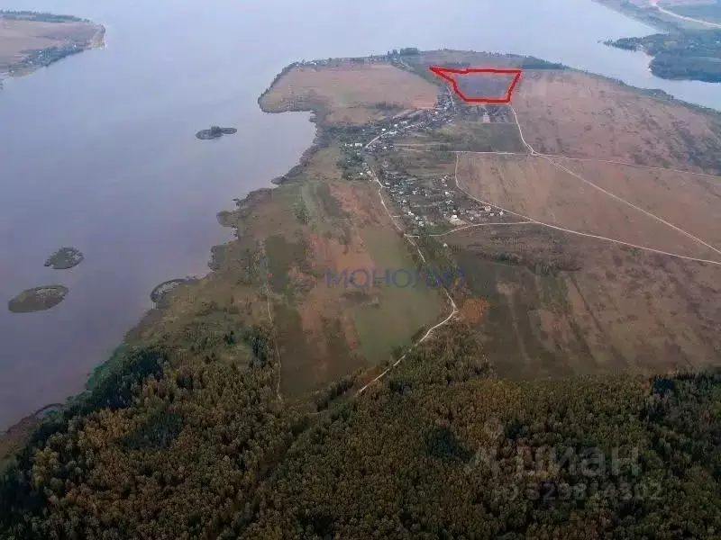 Участок в Нижегородская область, Чкаловск муниципальный округ, д. ... - Фото 1