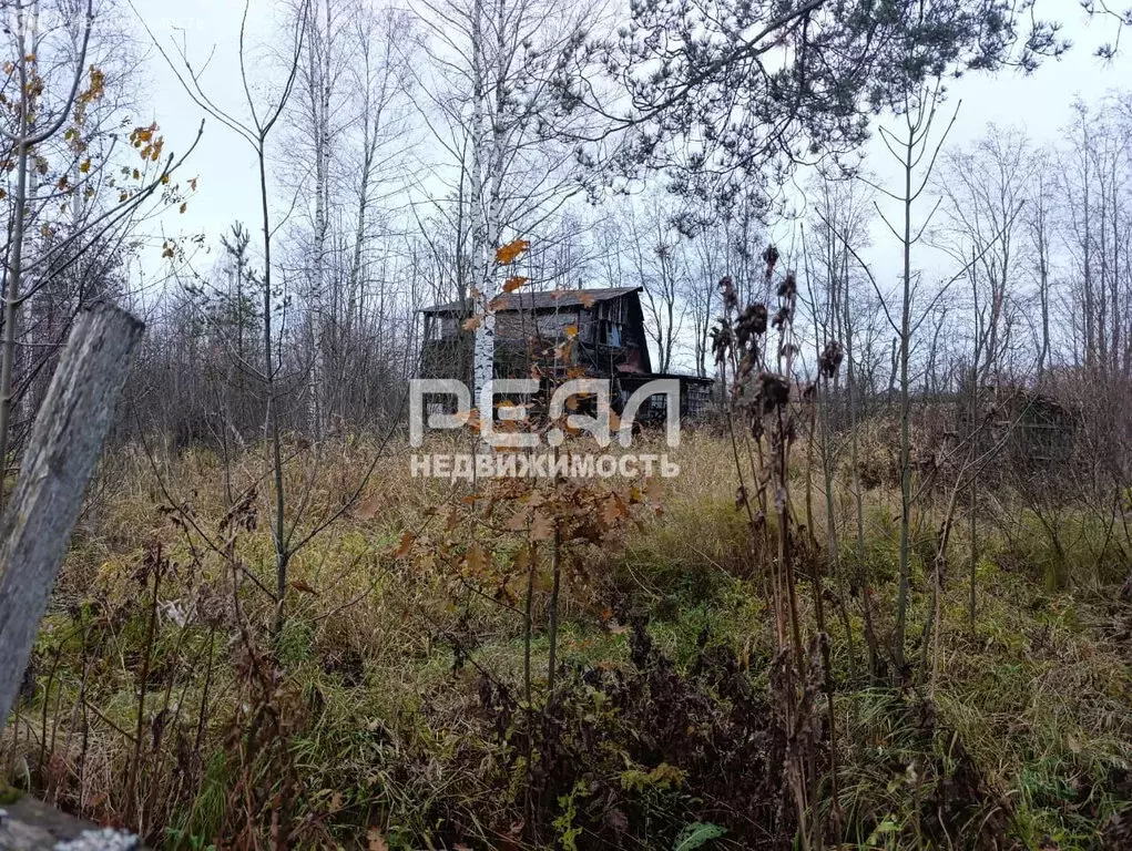 Участок в Ленинградская область, Гатчинский муниципальный округ, ... - Фото 1