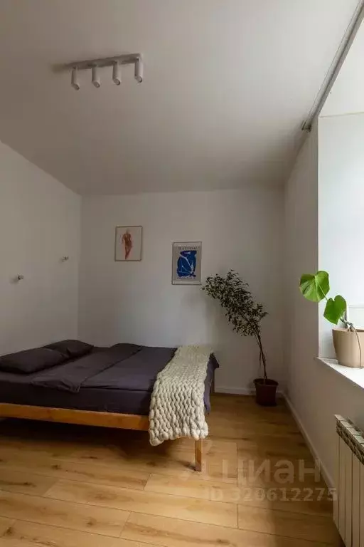 Студия Санкт-Петербург ул. Рубинштейна, 29/28 (25.0 м) - Фото 2