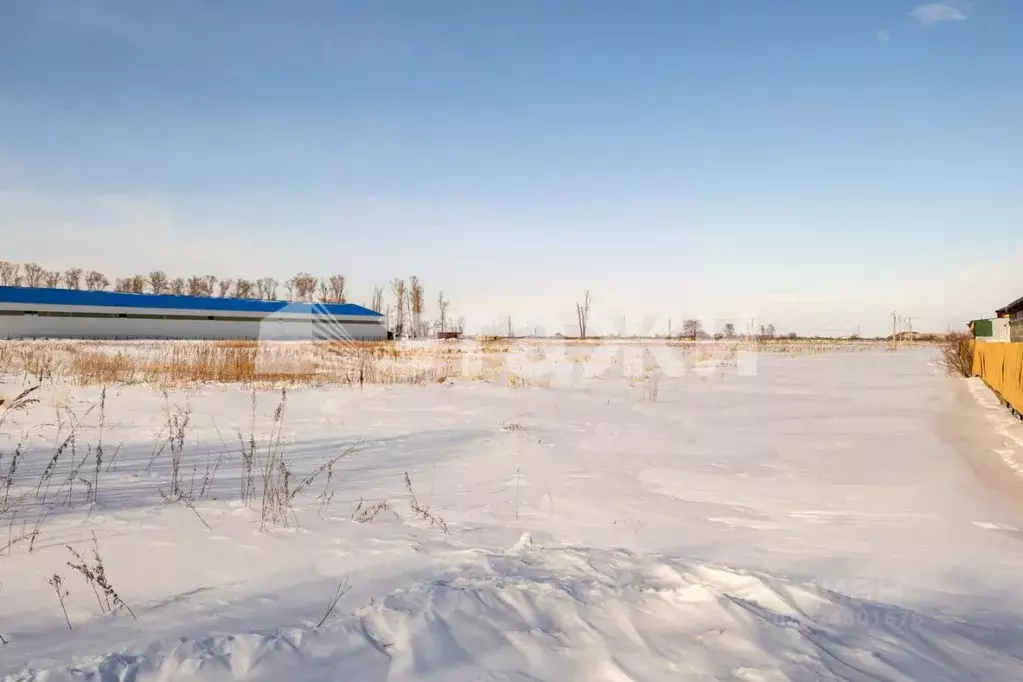 Участок в Амурская область, Благовещенский район, с. Волково  (320.6 ... - Фото 2