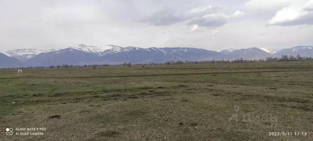 Участок в Алтай, Усть-Коксинский район, пос. Октябрьское  (100.0 сот.) - Фото 0