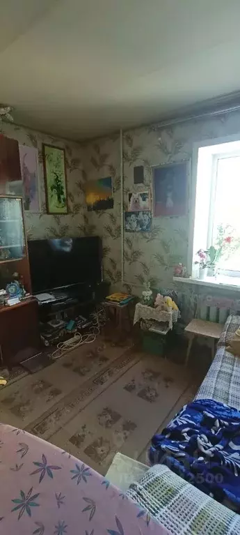 1-к кв. Брянская область, Брянск Ново-Советская ул., 116/51 (31.2 м) - Фото 0