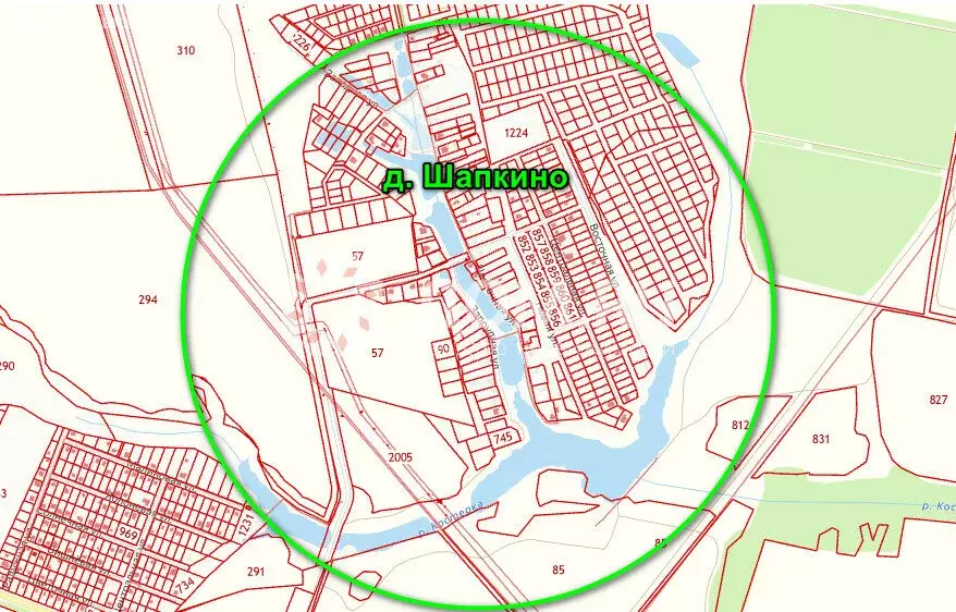 Участок в Московская область, городской округ Коломна, деревня Шапкино ... - Фото 1