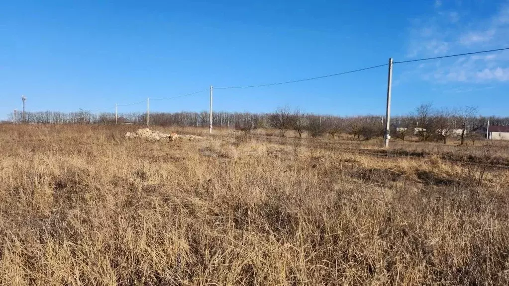 Участок в Белгородская область, Белгородский район, Беломестненское ... - Фото 2