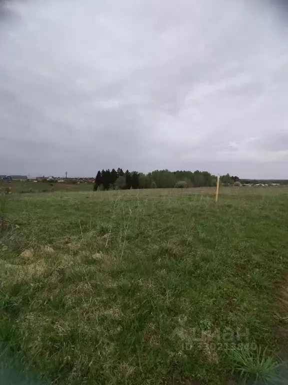 Участок в Удмуртия, Воткинский район, д. Кукуи Советская ул. (17.0 ... - Фото 2
