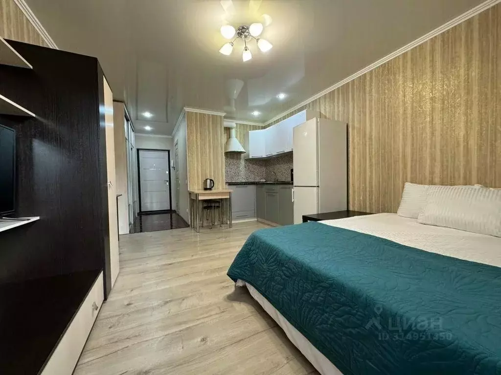 1-к кв. Ростовская область, Ростов-на-Дону Заводская ул., 25 (30.0 м) - Фото 1
