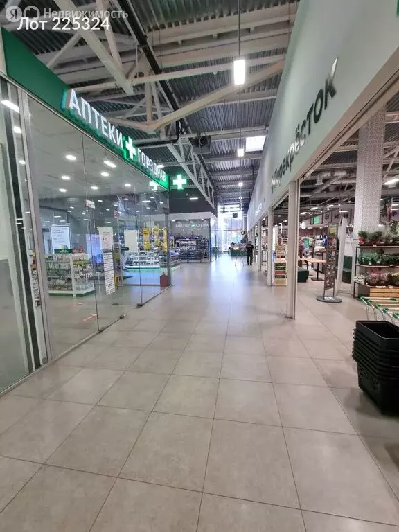 Помещение свободного назначения (513 м) - Фото 2