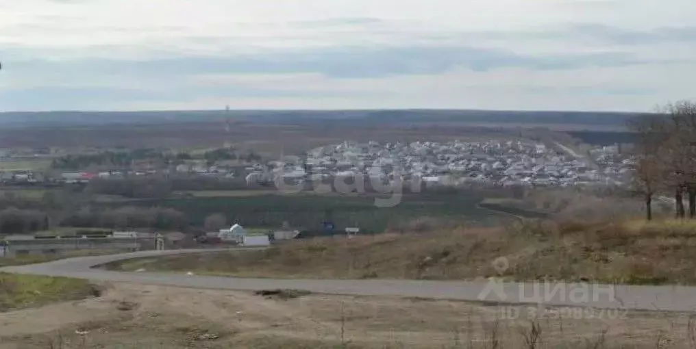 Участок в Саратовская область, Базарно-Карабулакский район, ... - Фото 2