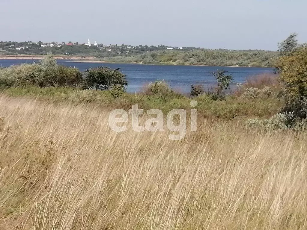 Участок в Владимирская область, Муромский район, Ковардицкое ... - Фото 0