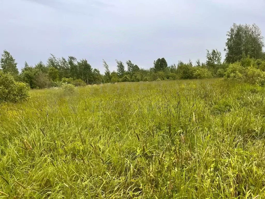 Участок в Новгородская область, Боровичи Западный мкр, 4 (12.0 сот.) - Фото 1