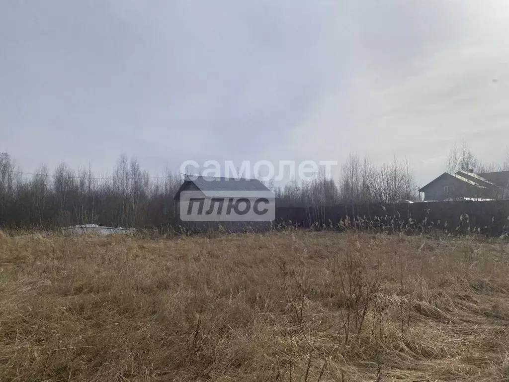 Участок в Нижегородская область, Выкса городской округ, с. Борковка  ... - Фото 0