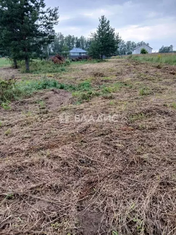 Участок в Владимирская область, Судогодский район, с. Чамерево ул. ... - Фото 0