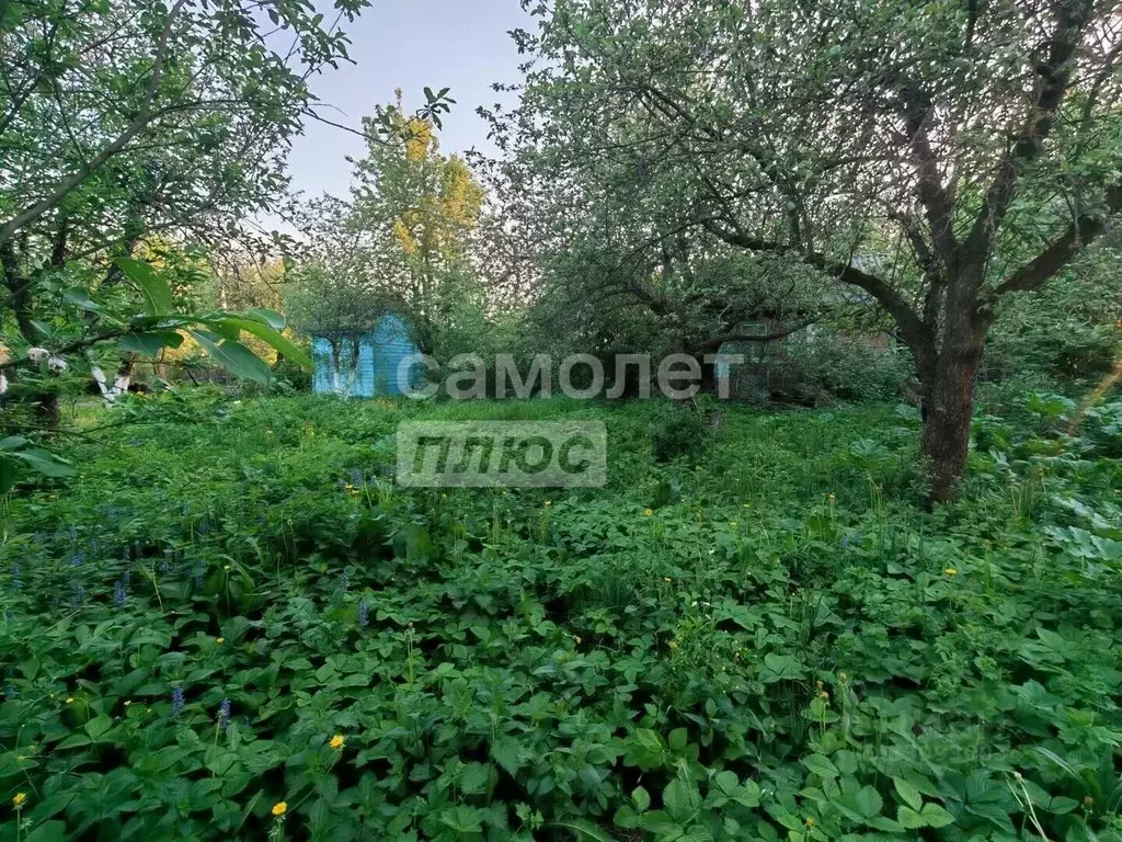 Участок в Ивановская область, Иваново ул. 1-я Балинская (4.0 сот.) - Фото 2