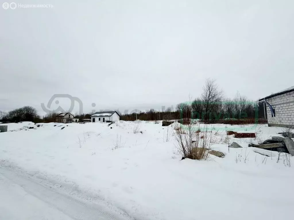 Участок в Калининградская область, Гурьевский муниципальный округ, СНТ ... - Фото 1