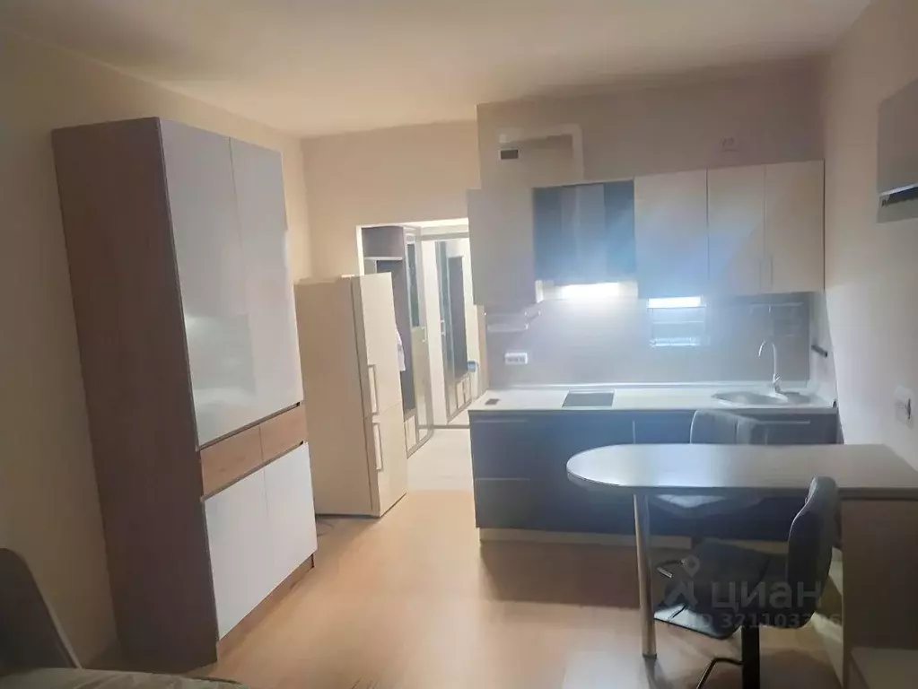 Студия Ленинградская область, Всеволожский район, д. Новое Девяткино ... - Фото 1