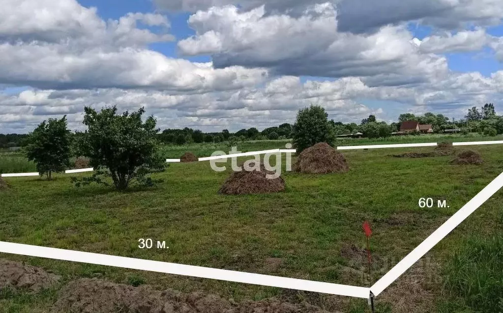 Участок в Владимирская область, Петушинский муниципальный округ, д. ... - Фото 1
