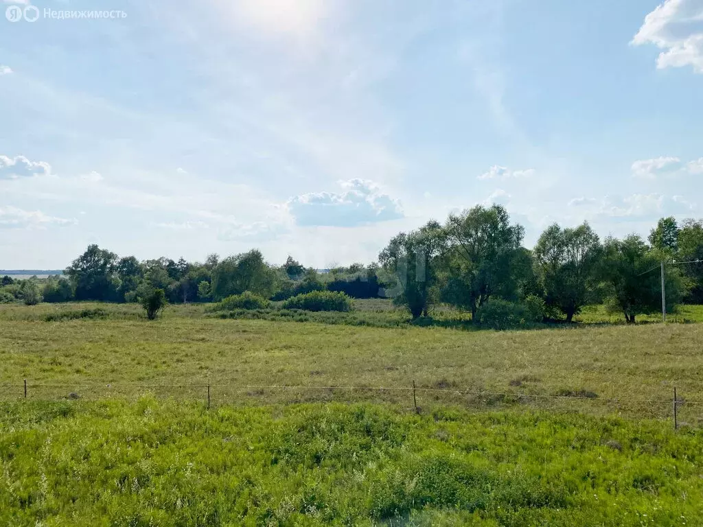 Участок в деревня Старомусино, улица Салихова (15 м) - Фото 2