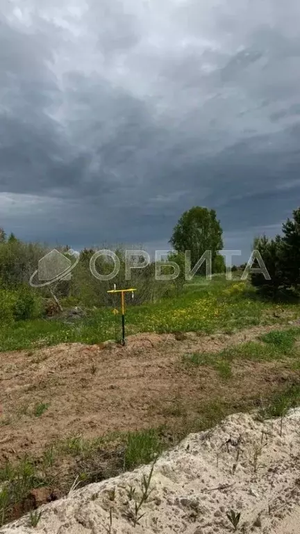 Участок в Тюменская область, Тюменский район, Новокаменский кп ул. ... - Фото 0