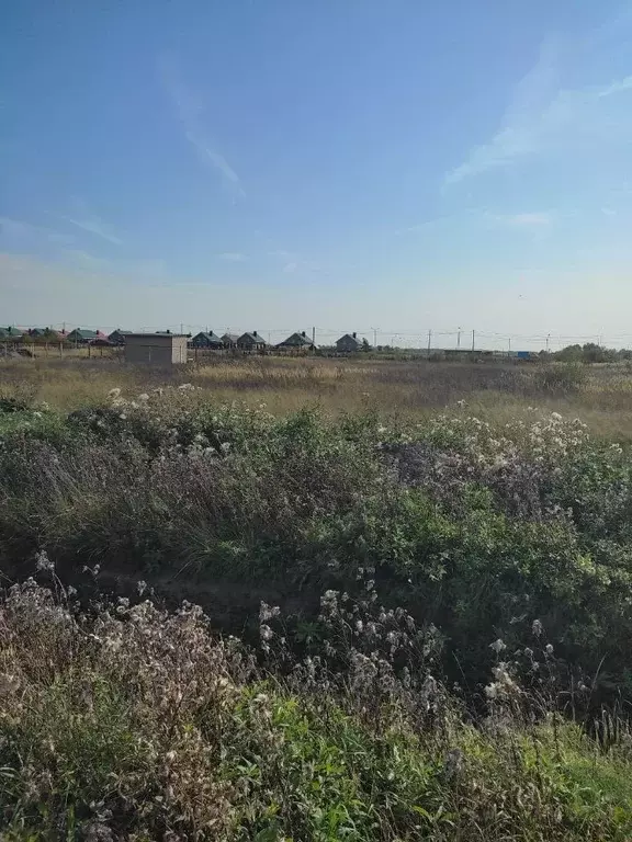 Участок в Новгородская область, Новгородский район, Савинское с/пос, ... - Фото 2