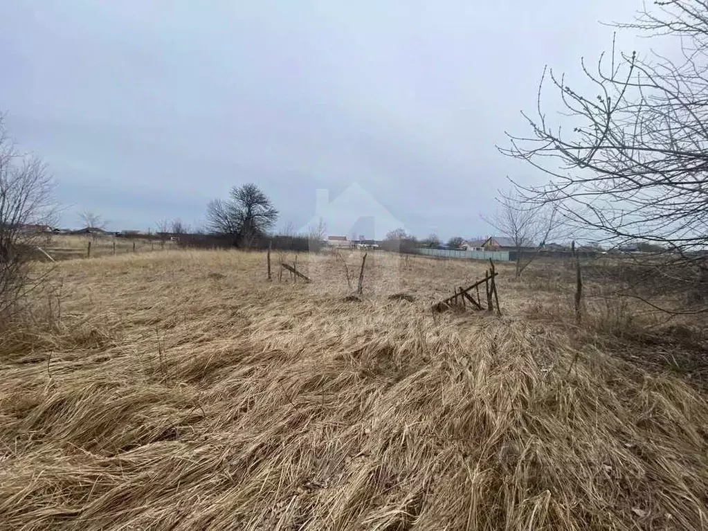 Участок в Воронежская область, Рамонский район, Комсомольское с/пос, ... - Фото 1