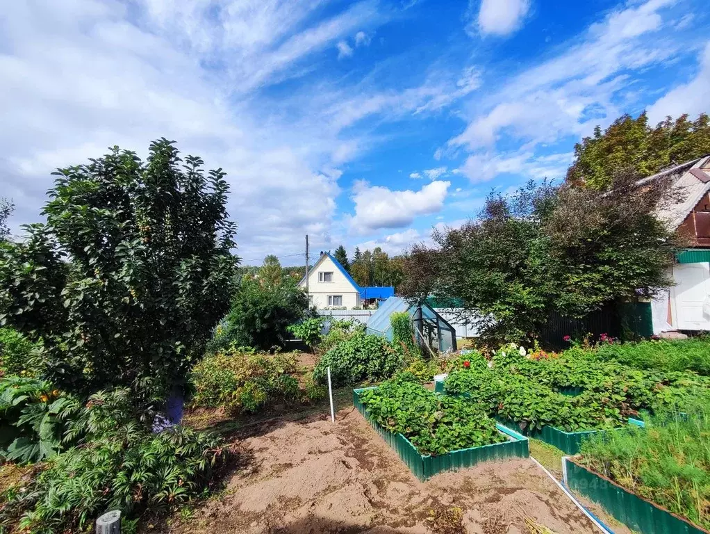 Участок в Камчатский край, Елизовский муниципальный округ, ... - Фото 2