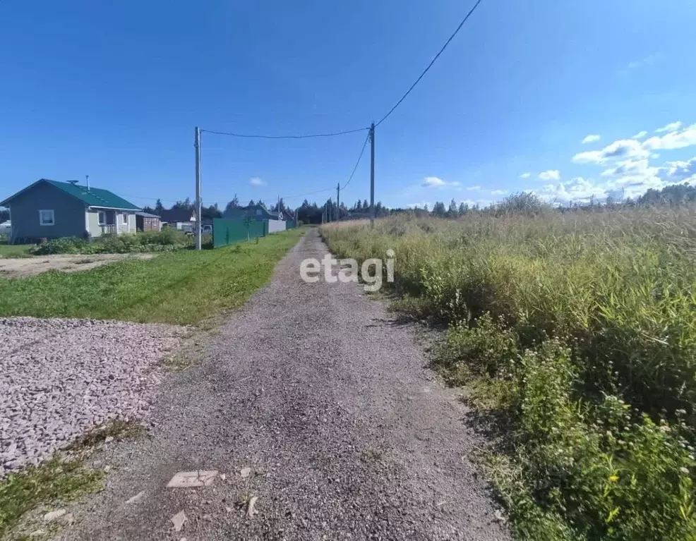 Участок в Ленинградская область, Всеволожский район, Романовское ... - Фото 0