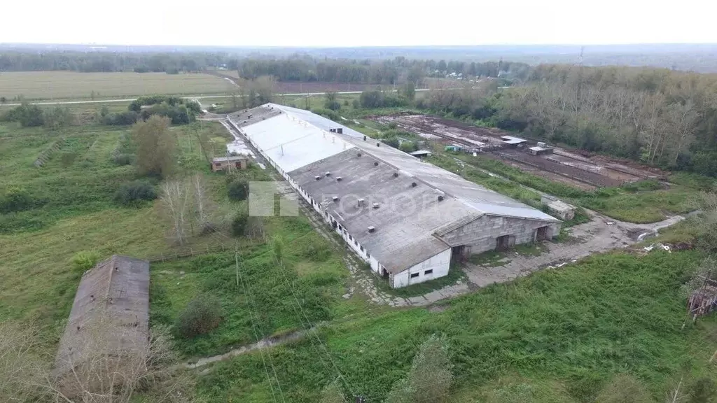 Производственное помещение в Новосибирская область, Новосибирский ... - Фото 0