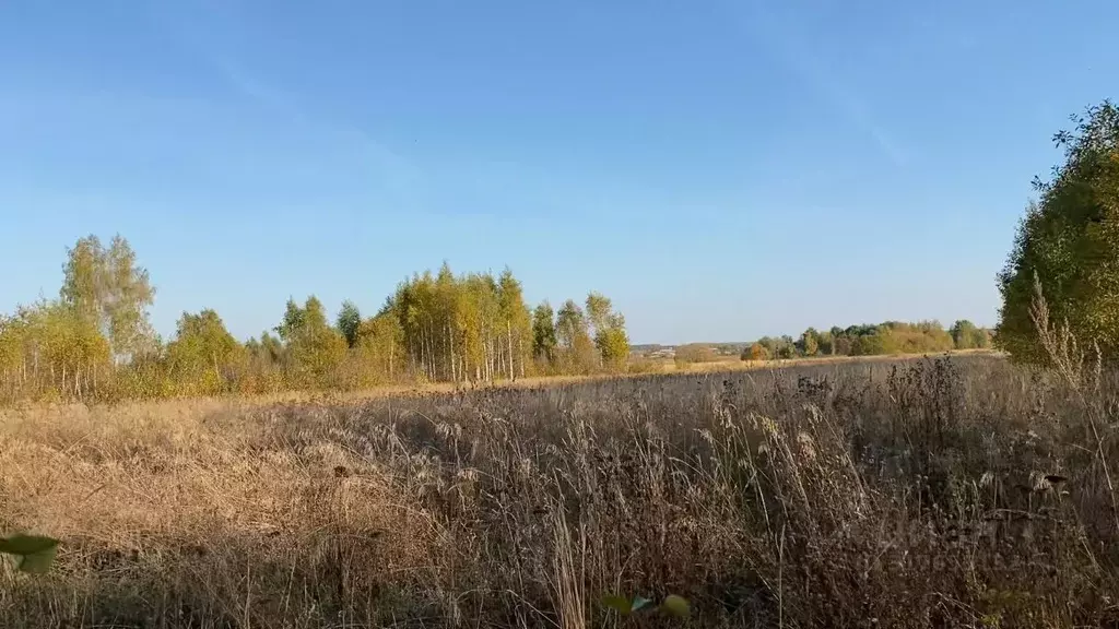 Участок в Московская область, Кашира городской округ, д. Никулино  ... - Фото 1