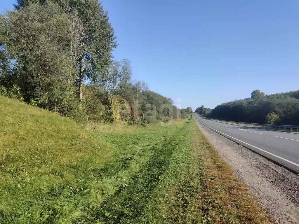 Участок в Смоленская область, Смоленский муниципальный округ, ... - Фото 1