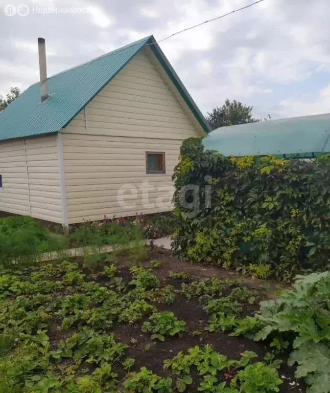 Дом в Благоварский район, Языковский сельсовет, село Языково (70 м) - Фото 0