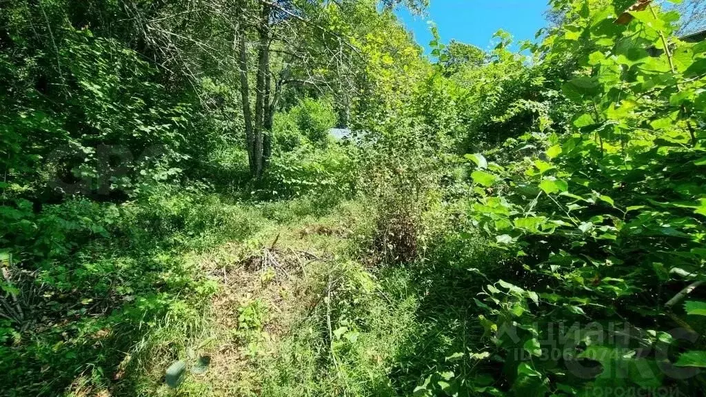 Участок в Краснодарский край, Сочи городской округ, с. Верхний Юрт, ... - Фото 0