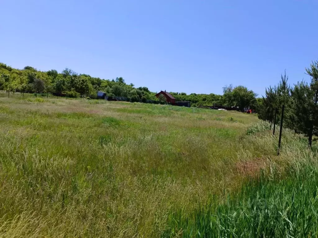 Участок в Белгородская область, Белгород Дальняя Садовая ул. (14.0 ... - Фото 1