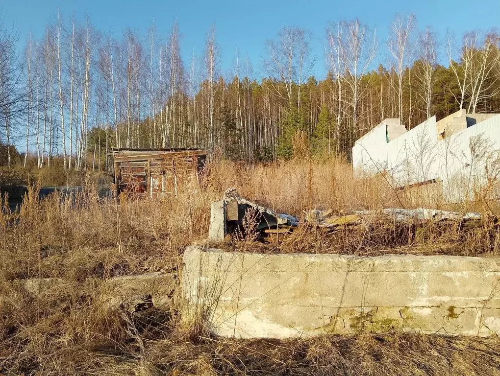 Участок 10 сот. (ИЖС) - Фото 1