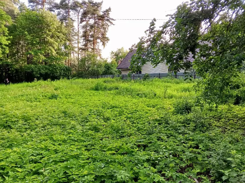 Продается участок в пгт Быково - Фото 1