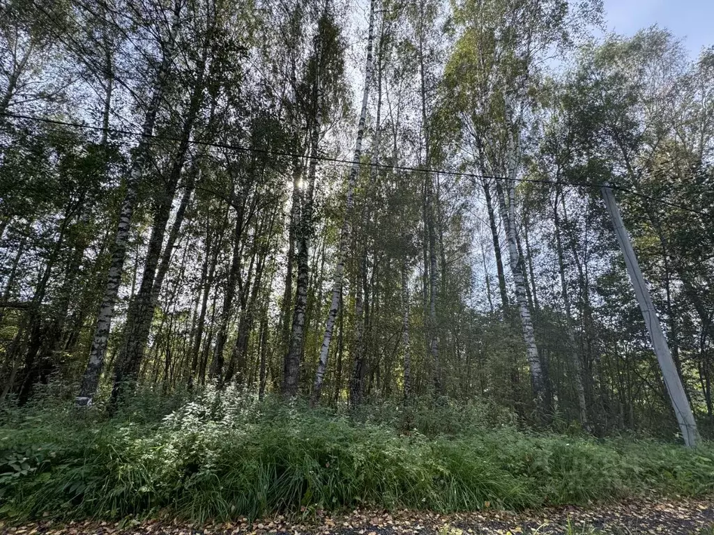 Участок в Московская область, Клин городской округ, Милухино СНТ 210 ... - Фото 2