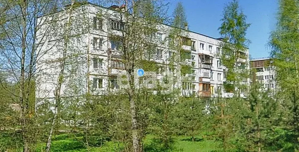 2-к кв. Ленинградская область, Ломоносовский район, Низинское с/пос, ... - Фото 2