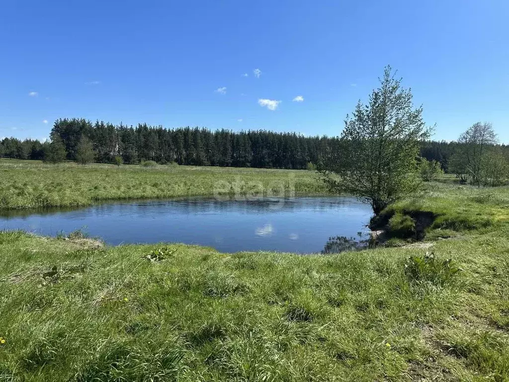 Участок в Воронежская область, Новоусманский район, с. Хреновое  (11.0 ... - Фото 0