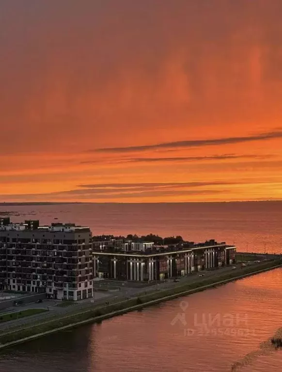 2-к кв. Санкт-Петербург просп. Патриотов, 33 (74.5 м) - Фото 1