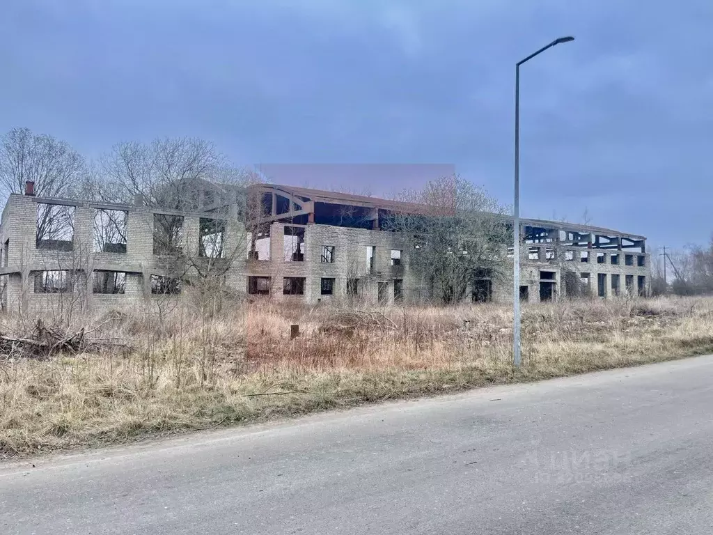 Помещение свободного назначения в Калининградская область, ... - Фото 1