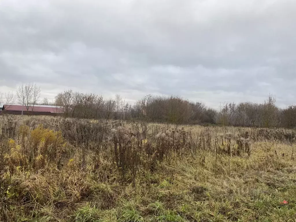 Участок в Московская область, Луховицы муниципальный округ, с. ... - Фото 1