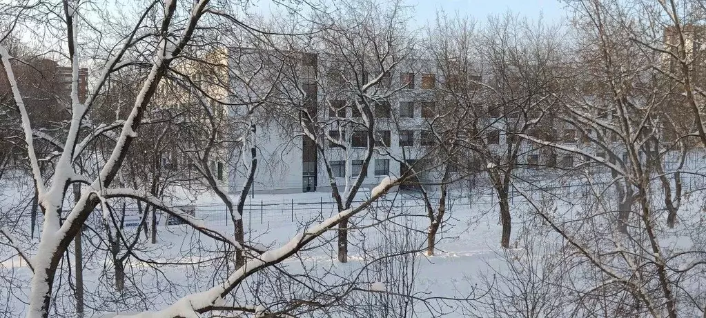 Комната Пермский край, Пермь ул. Крупской, 71 (27.7 м) - Фото 2