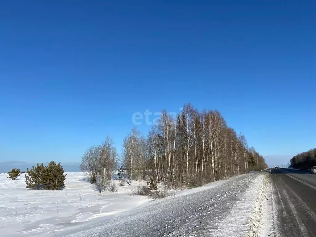 Участок в Свердловская область, Белоярский пгт  (1160.0 сот.) - Фото 1
