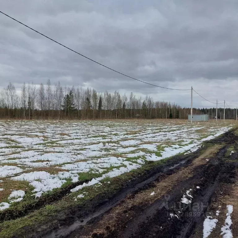 Участок в Ленинградская область, Всеволожский район, Рахьинское ... - Фото 1