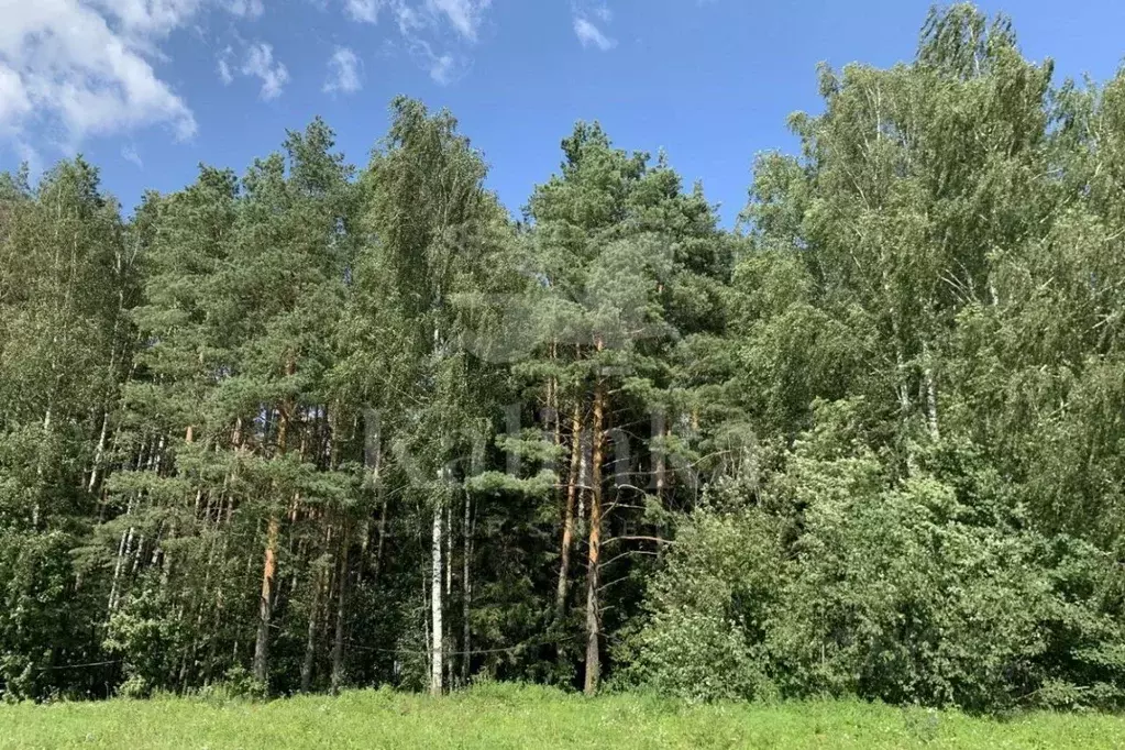 Участок в Московская область, Одинцовский городской округ, д. ... - Фото 1
