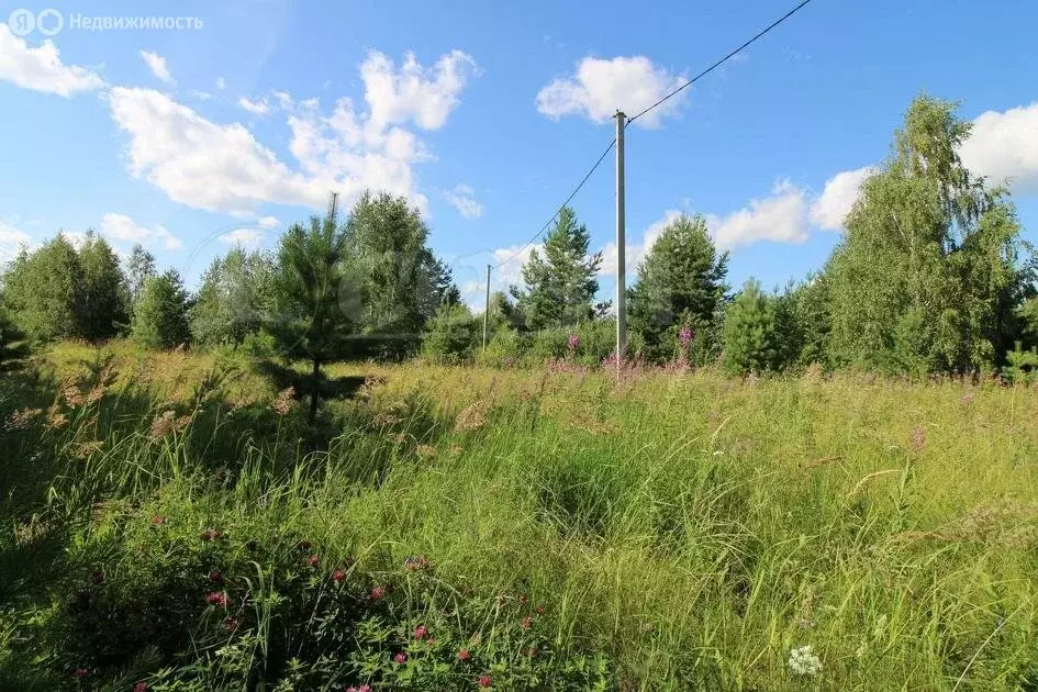 Участок в Тюменская область, село Нижняя Тавда (10 м) - Фото 1