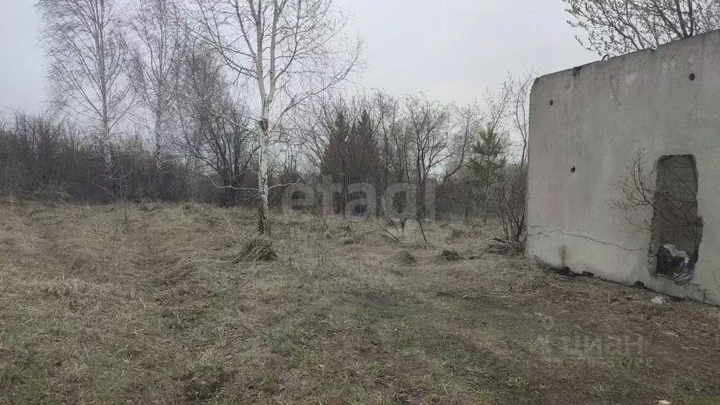 Участок в Алтайский край, Первомайский район, Надежда СНТ ул. 16-я, ... - Фото 1