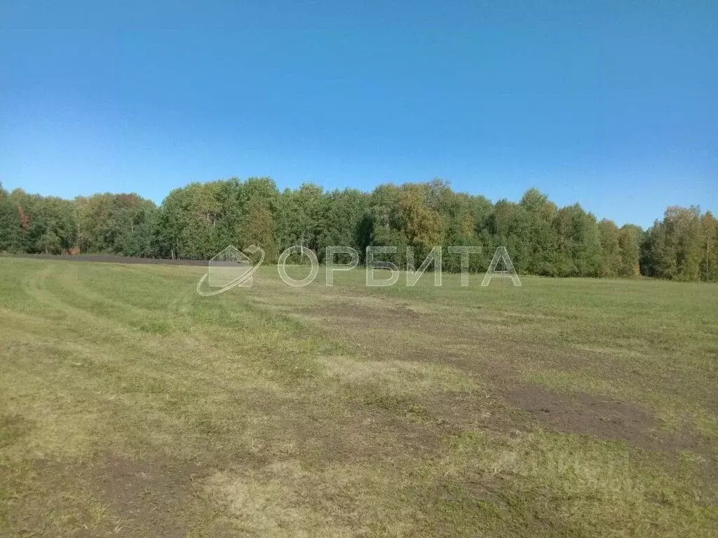 Участок в Тюменская область, Тюменский муниципальный округ, д. Зырянка ... - Фото 2