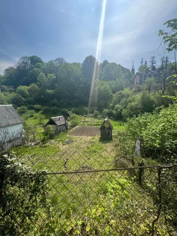 Участок в Краснодарский край, Сочи городской округ, с. Солохаул пер. ... - Фото 1