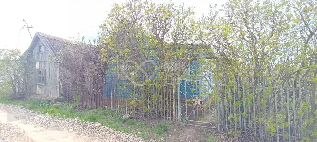 Дом в Волгоградская область, Волгоград Победа СНТ,  (20 м) - Фото 1