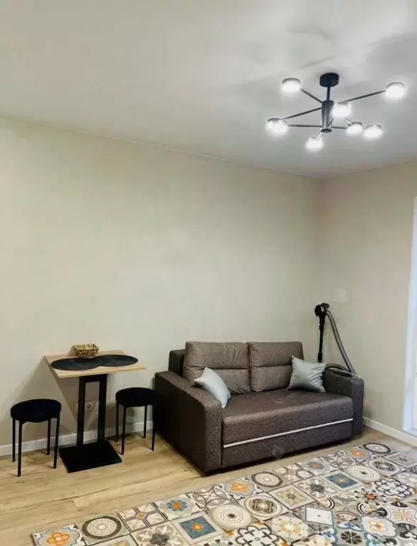 Студия Московская область, Раменское ул. Семейная, 7 (28.0 м) - Фото 2